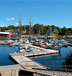 Camden Harbor